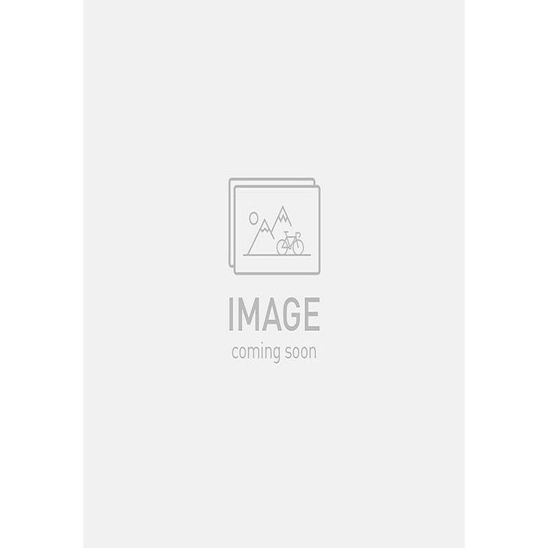allez sprint frmset copper multicolor blurred impasto / brushed liquid metal 49